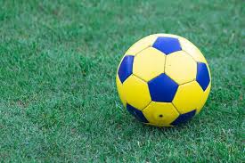 研究机构使用足彩历史数据